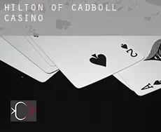 Hilton of Cadboll casino
