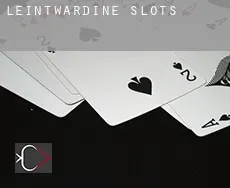 Leintwardine  slots