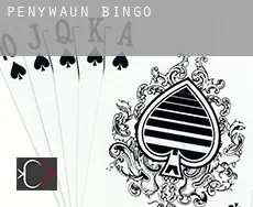 Penywaun  bingo