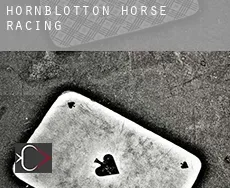 Hornblotton  horse racing