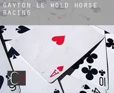 Gayton le Wold  horse racing
