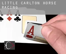 Little Carlton  horse racing