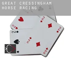 Great Cressingham  horse racing