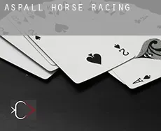 Aspall  horse racing