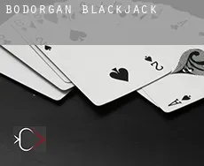 Bodorgan  blackjack