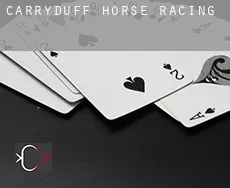 Carryduff  horse racing