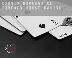 Torfaen (County Borough)  horse racing