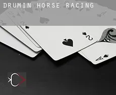 Drumin  horse racing