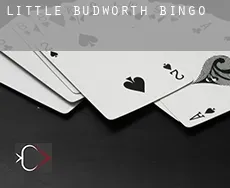 Little Budworth  bingo