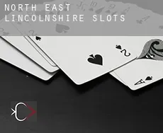 North East Lincolnshire  slots