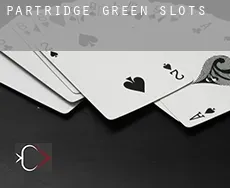 Partridge Green  slots