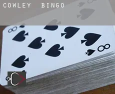 Cowley  bingo
