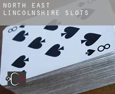 North East Lincolnshire  slots