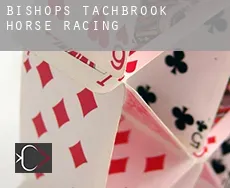 Bishops Tachbrook  horse racing