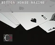 Bitton  horse racing
