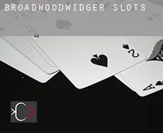Broadwoodwidger  slots