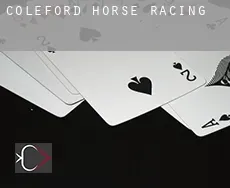 Coleford  horse racing