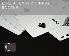 Eskdalemuir  horse racing