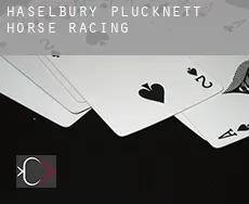 Haselbury Plucknett  horse racing