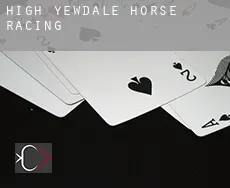 High Yewdale  horse racing