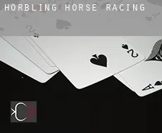 Horbling  horse racing