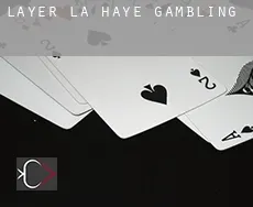 Layer de la Haye  gambling