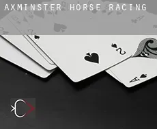 Axminster  horse racing