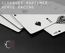 Cleobury Mortimer  horse racing