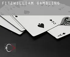 Fitzwilliam  gambling