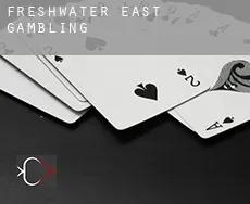 Freshwater East gambling