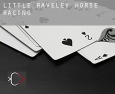 Little Raveley  horse racing