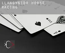 Llangynidr  horse racing