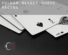 Pulham Market  horse racing