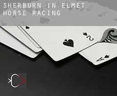 Sherburn in Elmet  horse racing