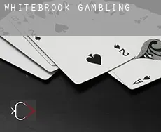 Whitebrook gambling