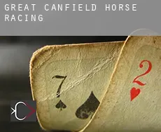 Great Canfield  horse racing