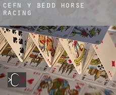 Cefn-y-bedd  horse racing