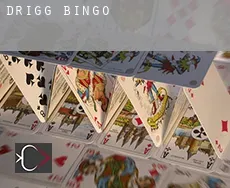 Drigg  bingo