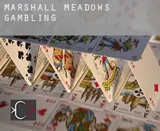 Marshall Meadows  gambling