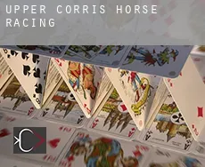 Upper Corris  horse racing