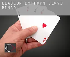 Llabedr-Dyffryn-Clwyd bingo