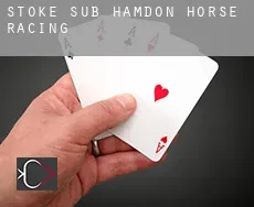 Stoke-sub-Hamdon  horse racing