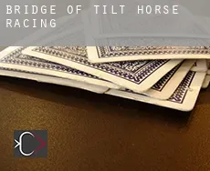 Bridge of Tilt  horse racing